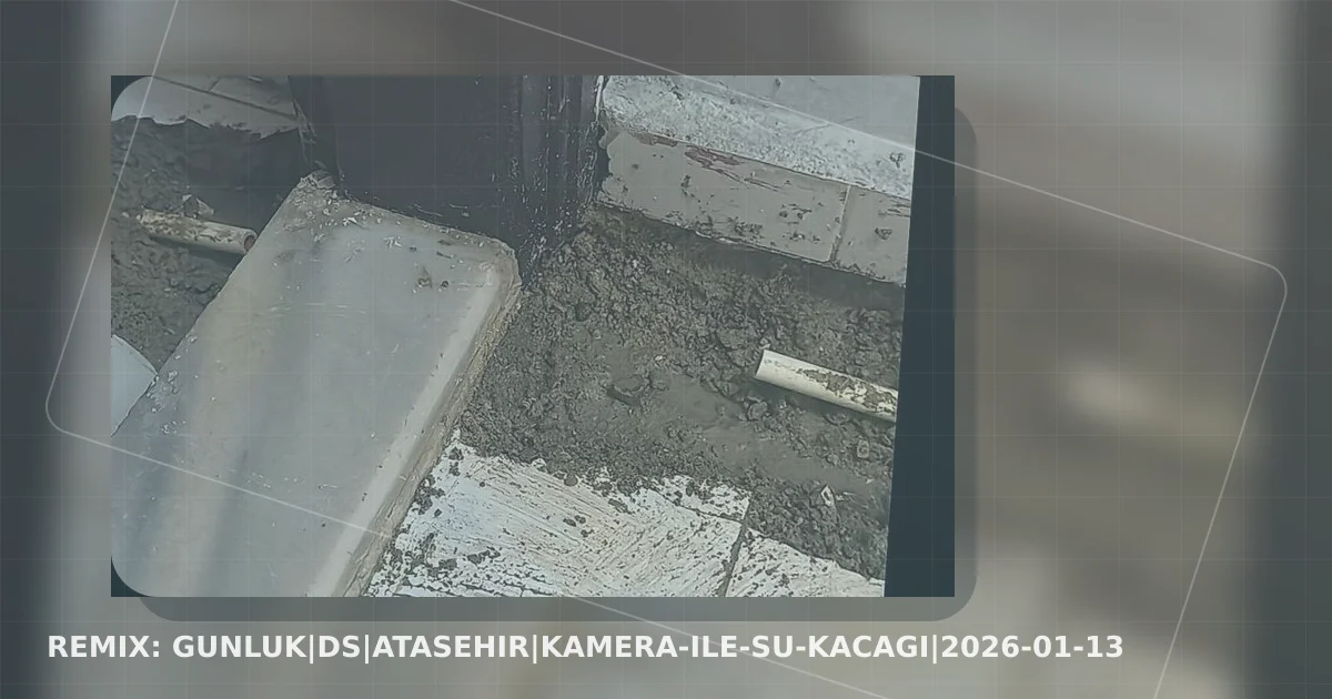 GUNLUK|DS|atasehir|kamera-ile-su-kacagi|2026-01-13 yeniden tasarlanan kapak