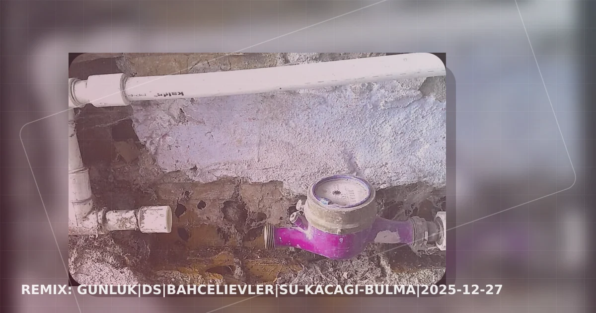 GUNLUK|DS|bahcelievler|su-kacagi-bulma|2025-12-27 yeniden tasarlanan kapak